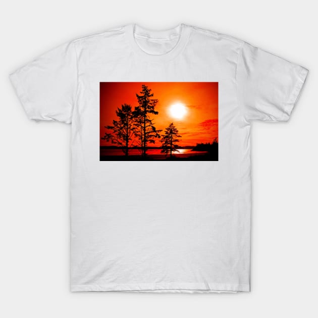 Sunset Long Beach Tofino Vancouver Island Canada T-Shirt by AndyEvansPhotos